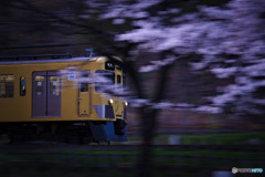 桜鉄道