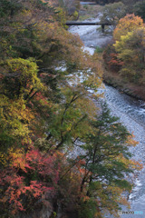 丹波山村水源公園