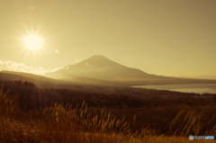 山中湖パノラマ台からの富士「Faded Golden1」