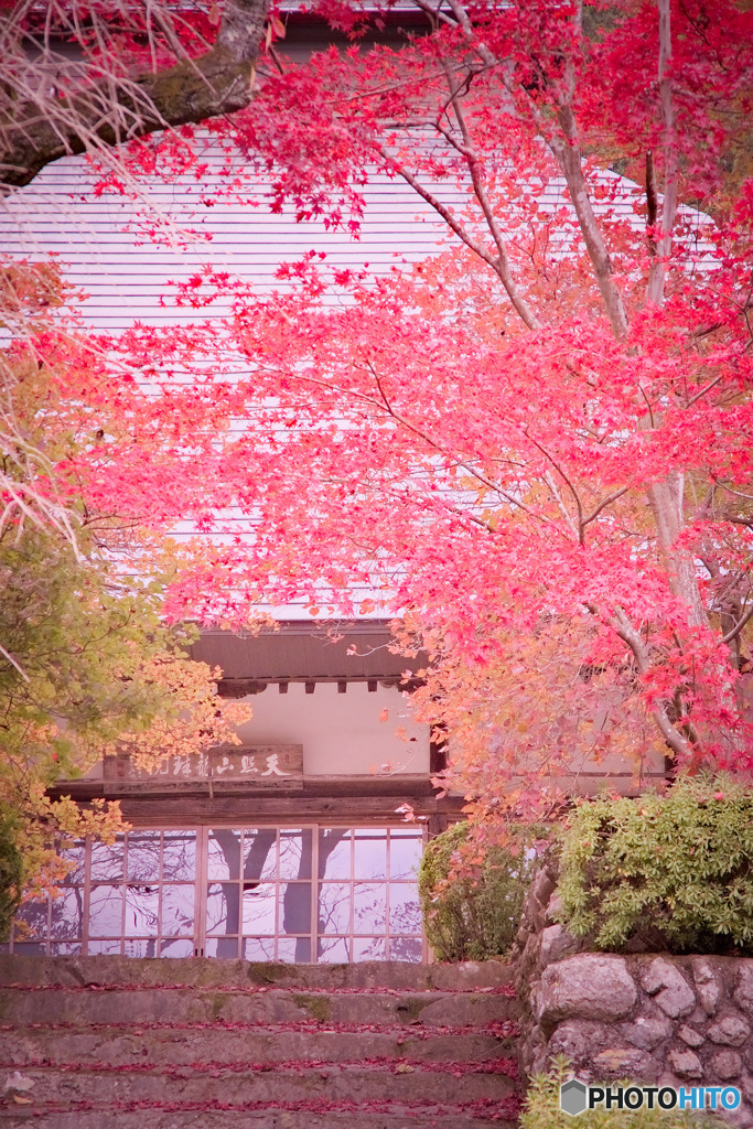 龍珠院
