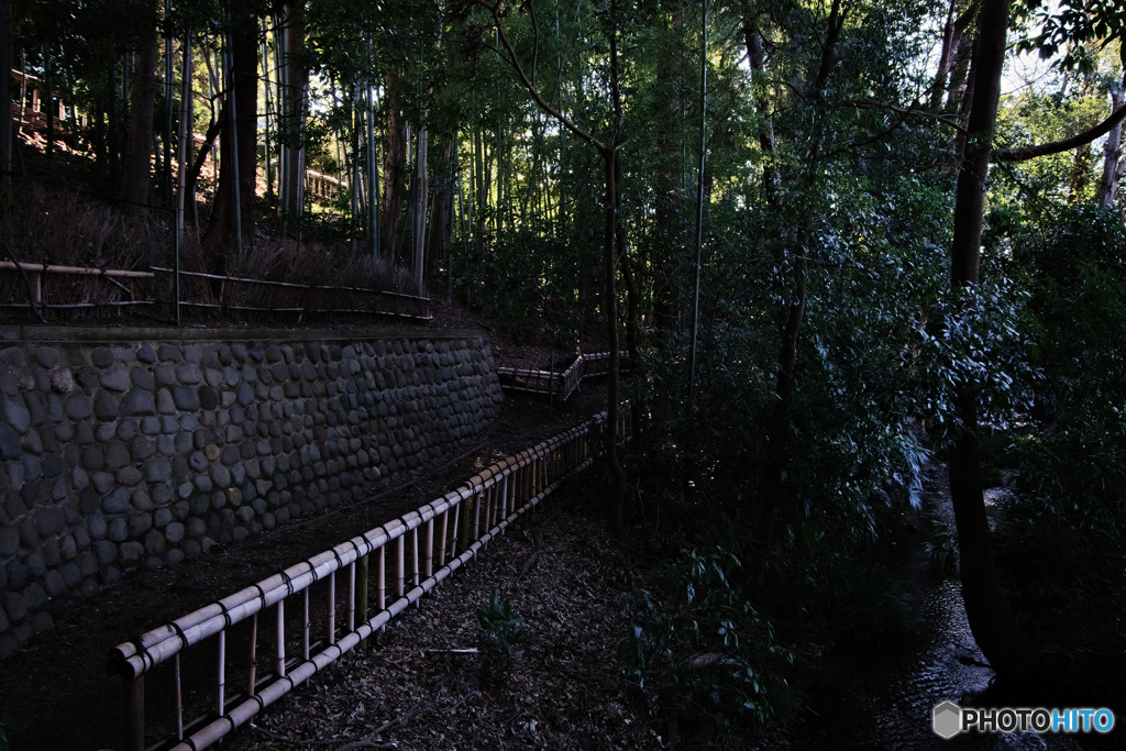 竹林公園