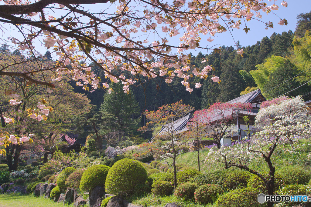 霊山院