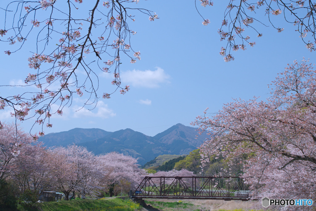 矢岸歩道橋