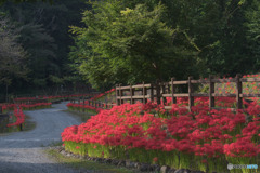 押堀川水辺広場