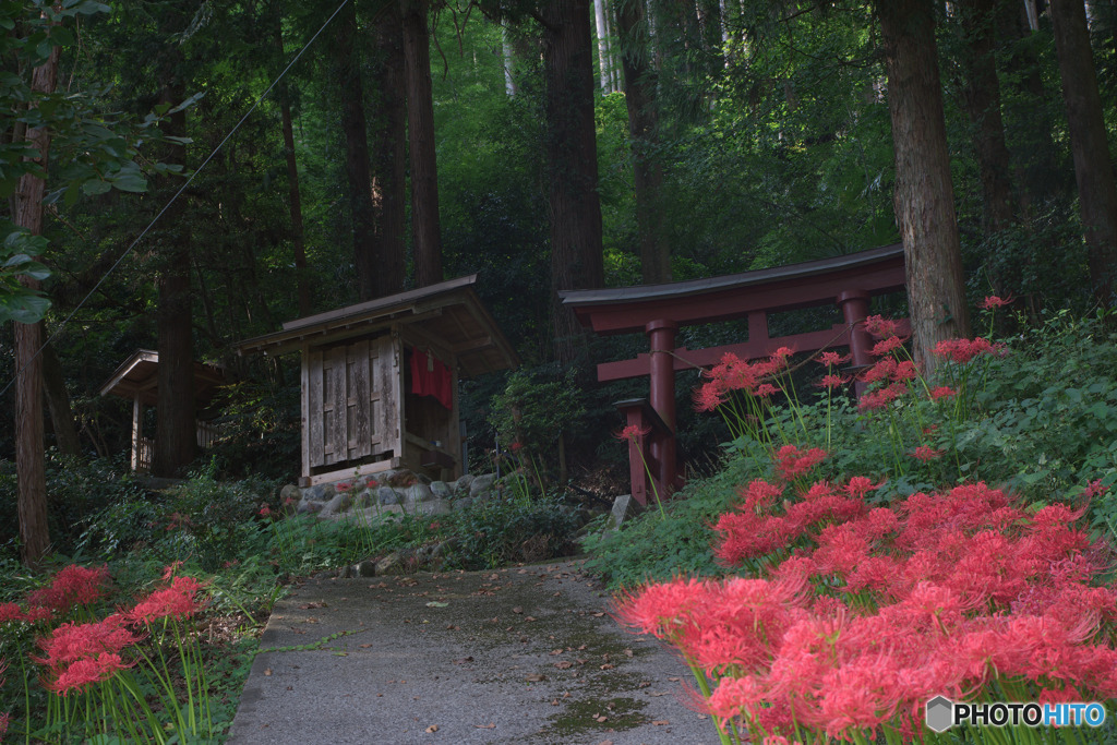 平仁田公会堂前の諏訪神社