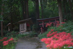 平仁田公会堂前の諏訪神社