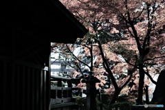 小金井市、貫井神社