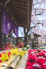金仙寺の花手水