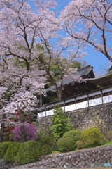 海禅寺