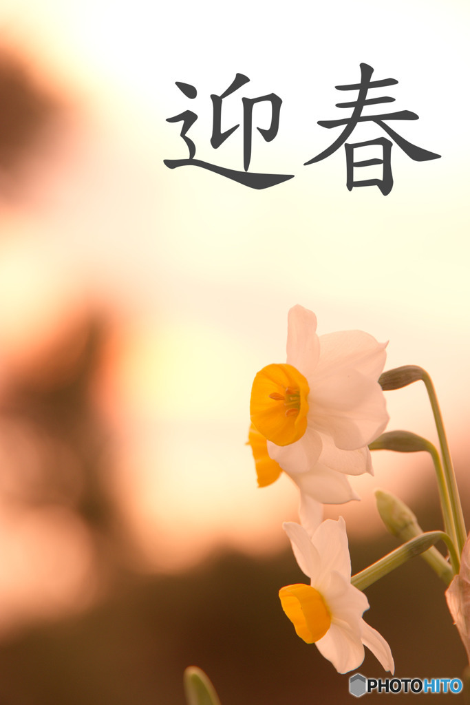 ごあいさつ