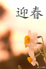 ごあいさつ