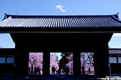 東郷寺山門
