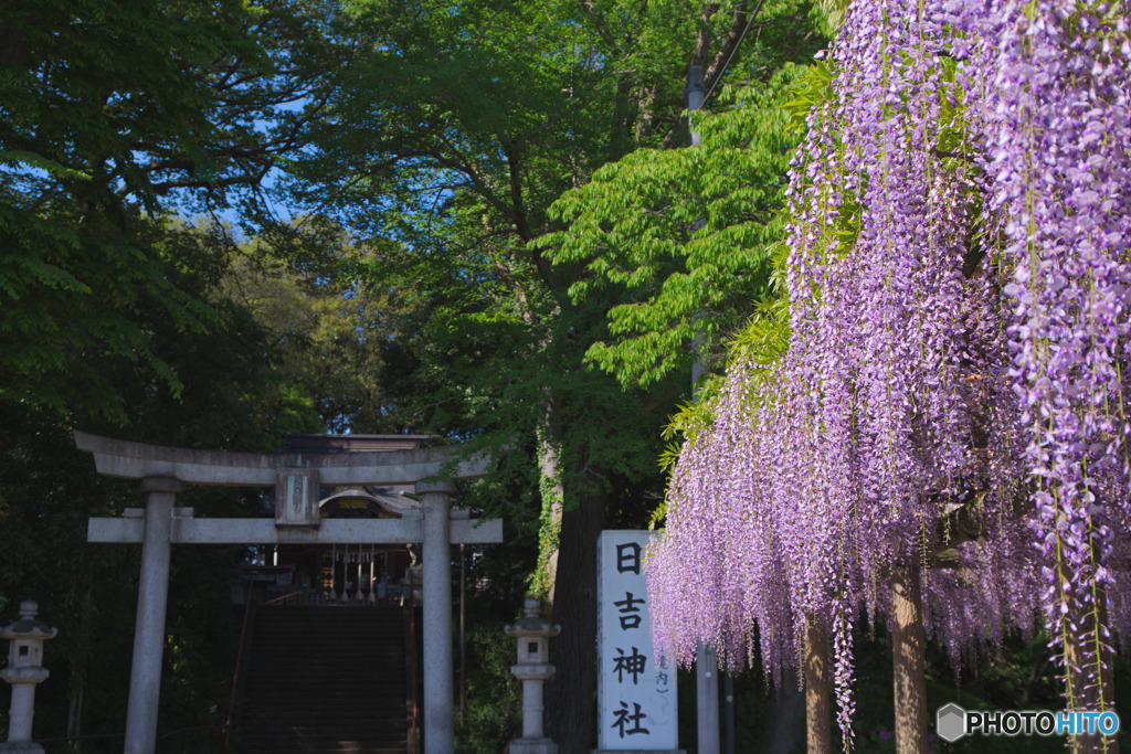 拝島公園