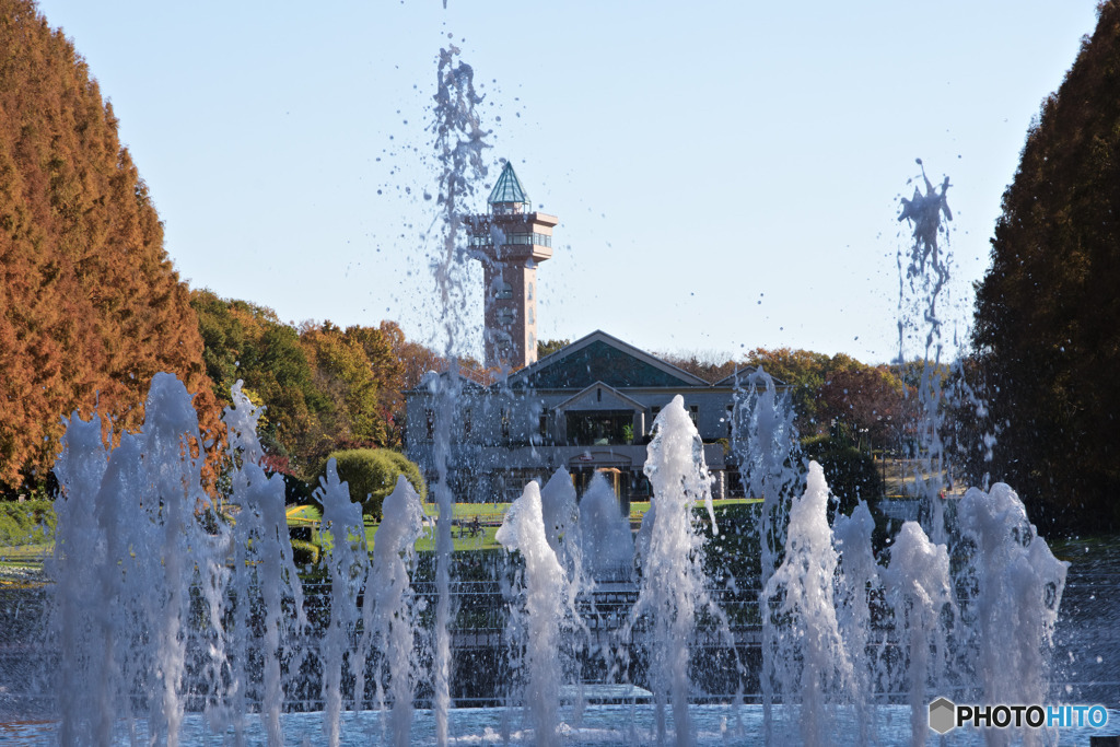 相模原公園