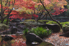 大田黒公園