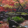 大田黒公園