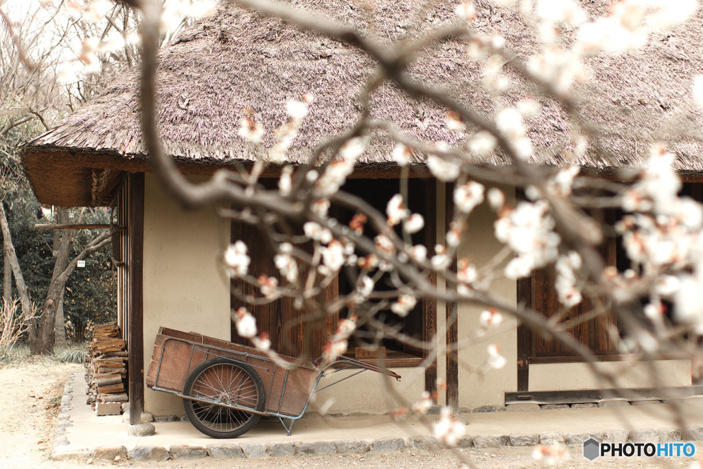 春の里山