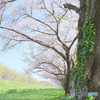 川越水上公園