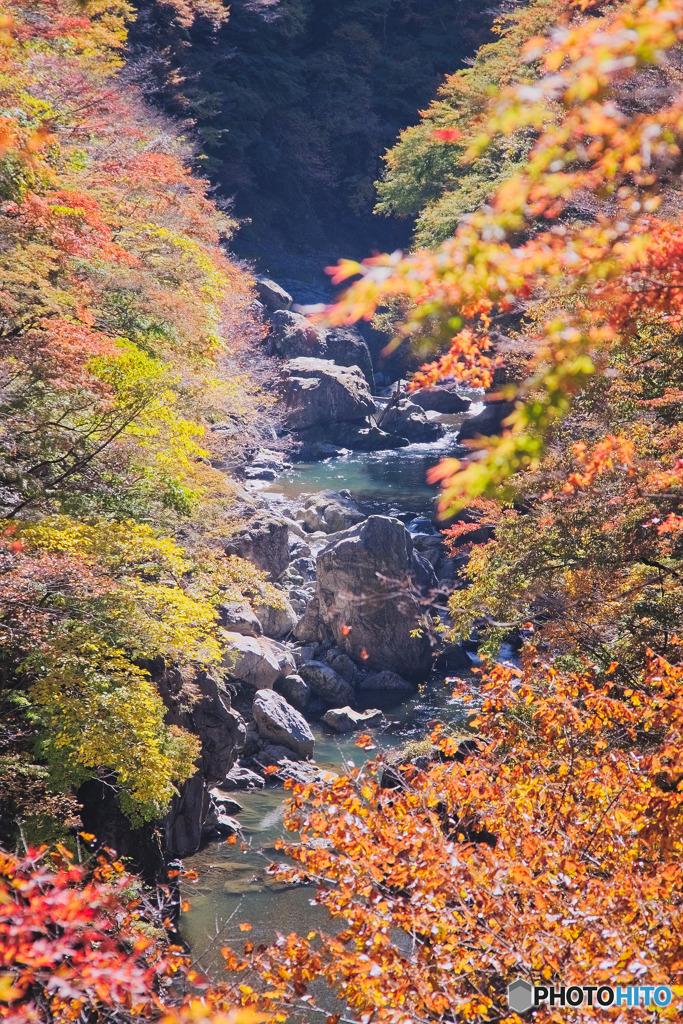 金蔵落としの渓流