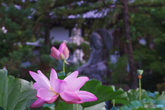 善長寺