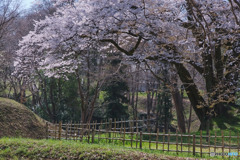 鉢形城公園