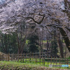 鉢形城公園