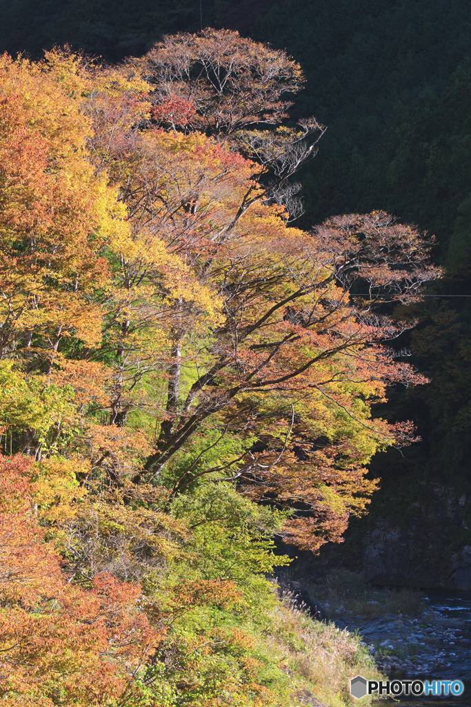 海沢大橋