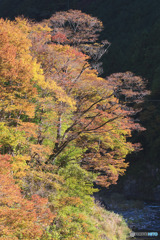 海沢大橋