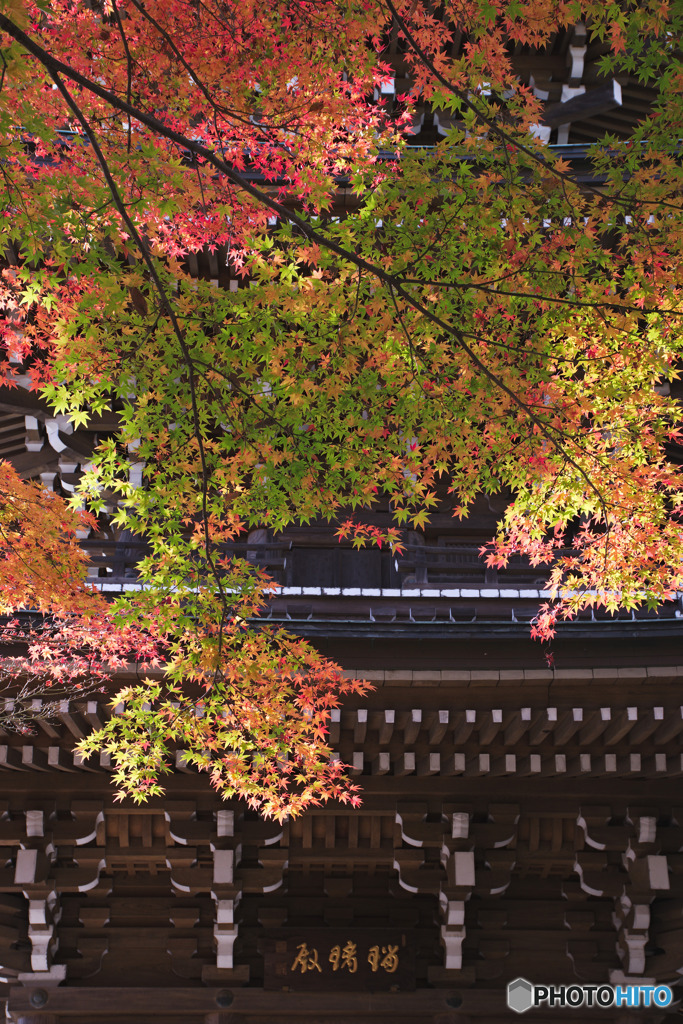 道場寺