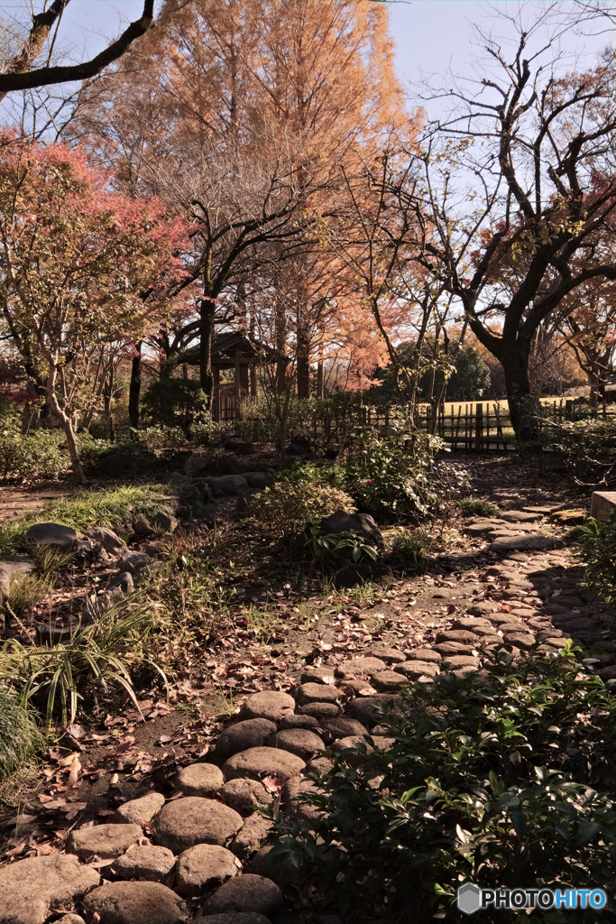 相模原公園
