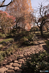 相模原公園
