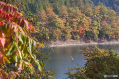 麦山浮橋