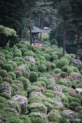 塩船観音寺、鐘楼