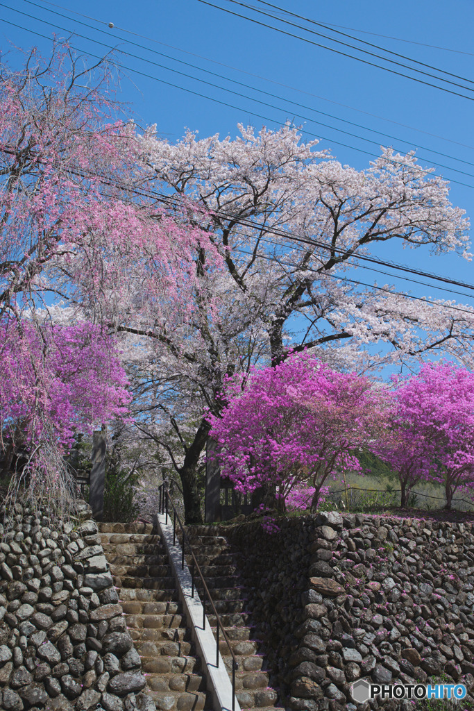 長念寺