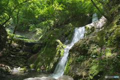 海沢渓谷、三ツ釜の滝