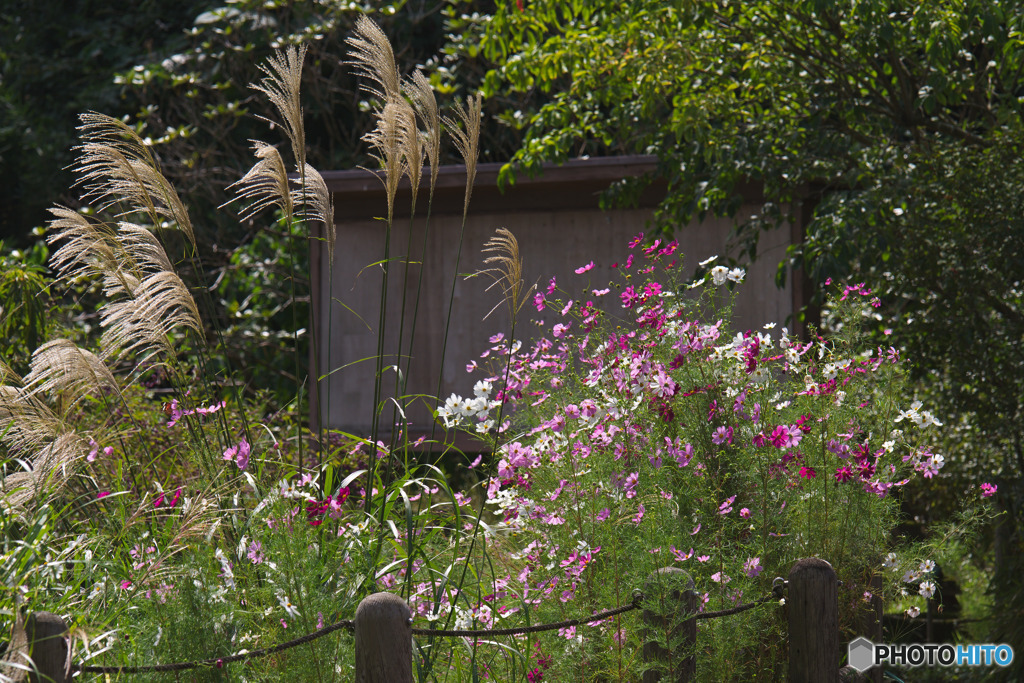 吹上しょうぶ公園