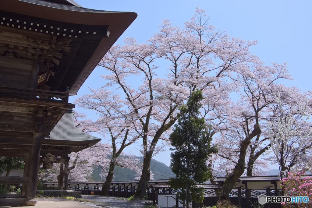 海禅寺