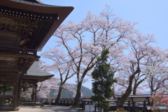海禅寺