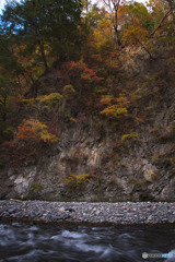 丹波山村水源公園