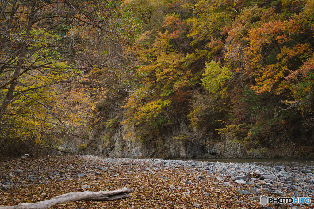 丹波山村水源公園