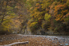 丹波山村水源公園