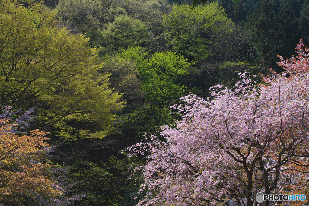 今熊神社