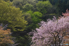 今熊神社