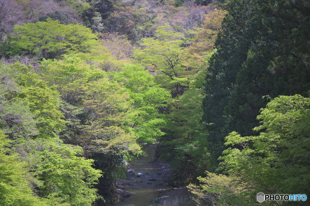 西川橋