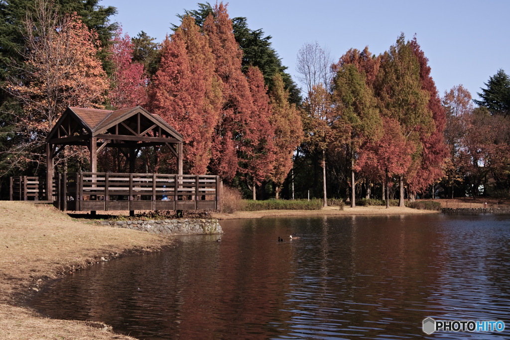 入間公園