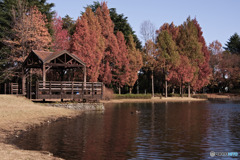 入間公園