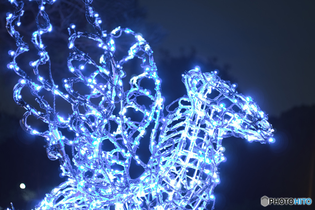 朝霞中央公園ウインターイルミネーション