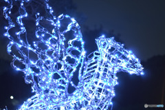 朝霞中央公園ウインターイルミネーション