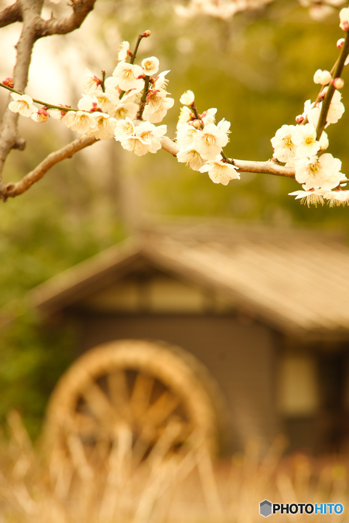水車小屋のある景色