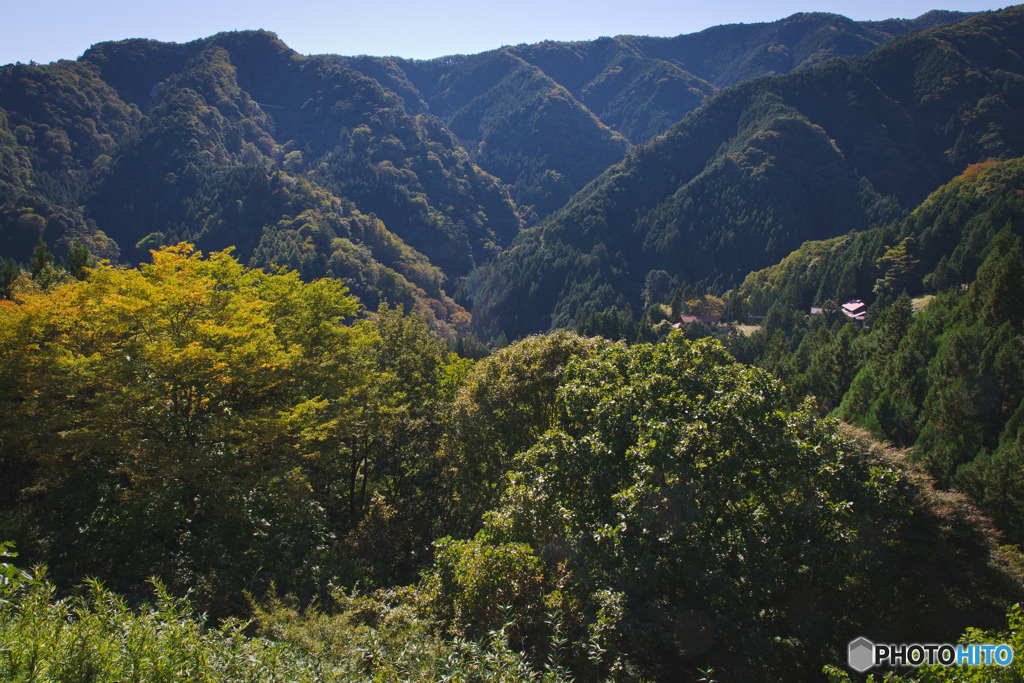 風張林道